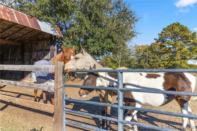 $479,000 | 832 Jackson Springs Road, West End, NC 27376