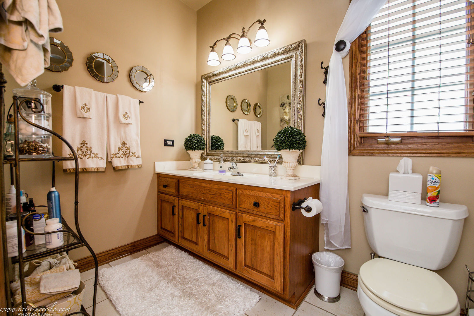 9844 West Bruns Road Monee, IL 60449 - Photo 12 of 51