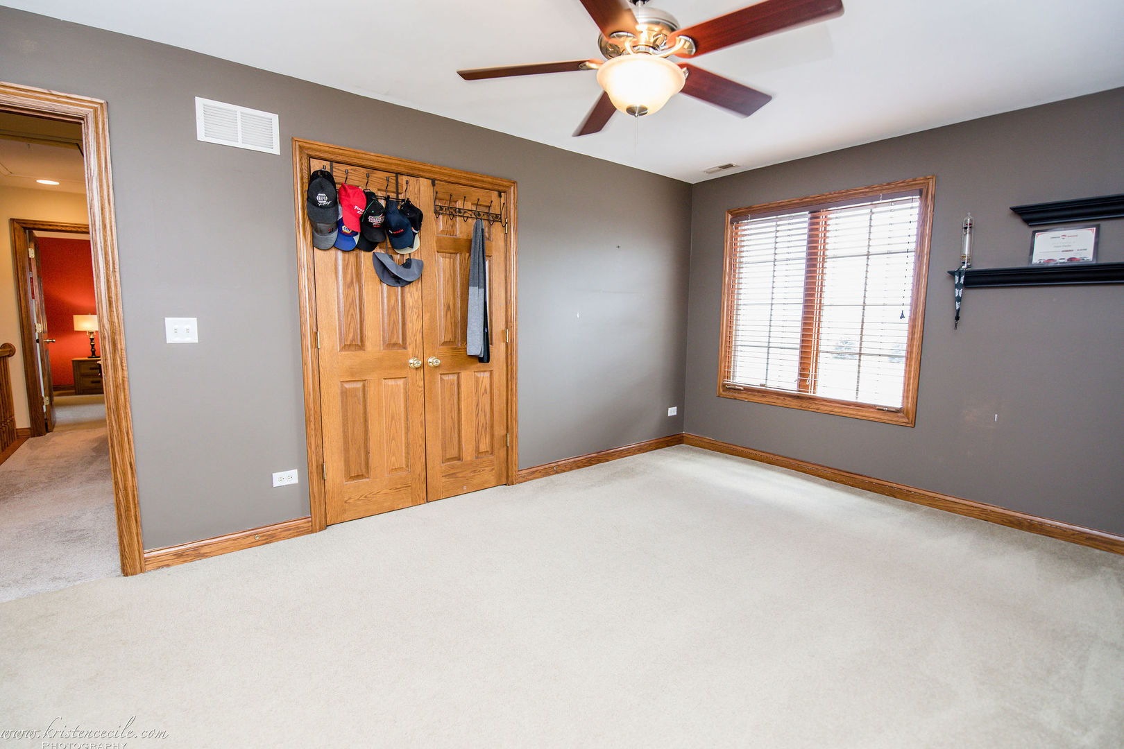 9844 West Bruns Road Monee, IL 60449 - Photo 25 of 51