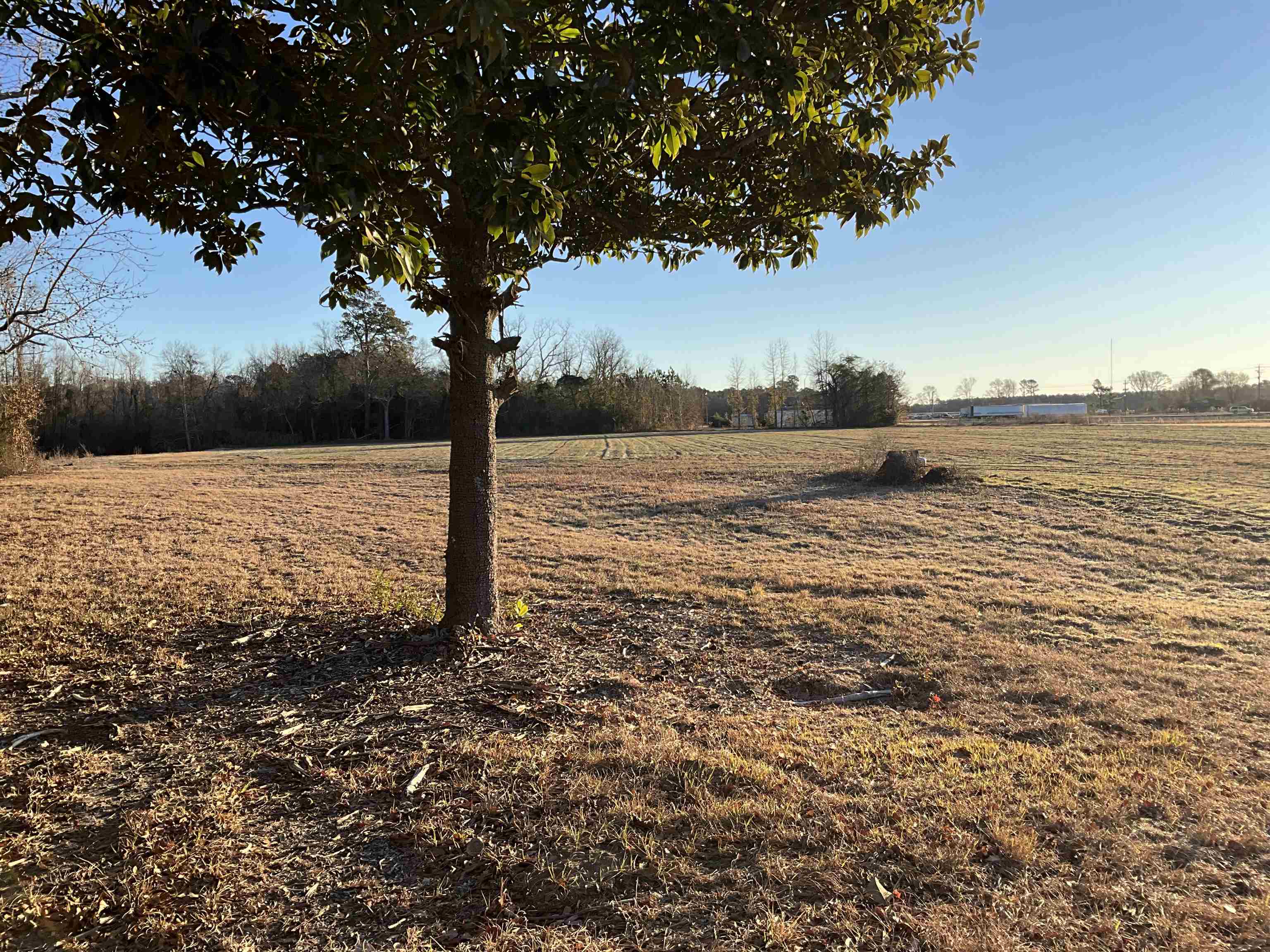 Tbd Senator Gasque Road Mullins, SC 29574 - Photo 9 of 15 View of yard featuring a view of rural / pastoral area