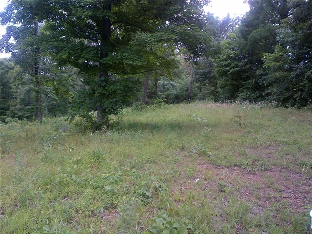1446 Ridge Road Dickson, TN 37055 - Photo 3 of 8 Gallery Image 3