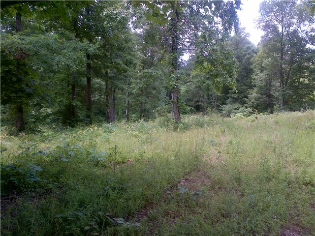 1446 Ridge Road Dickson, TN 37055 - Photo 4 of 8 Gallery Image 4
