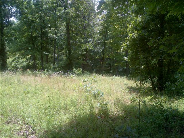 1446 Ridge Road Dickson, TN 37055 - Photo 6 of 8 Gallery Image 6