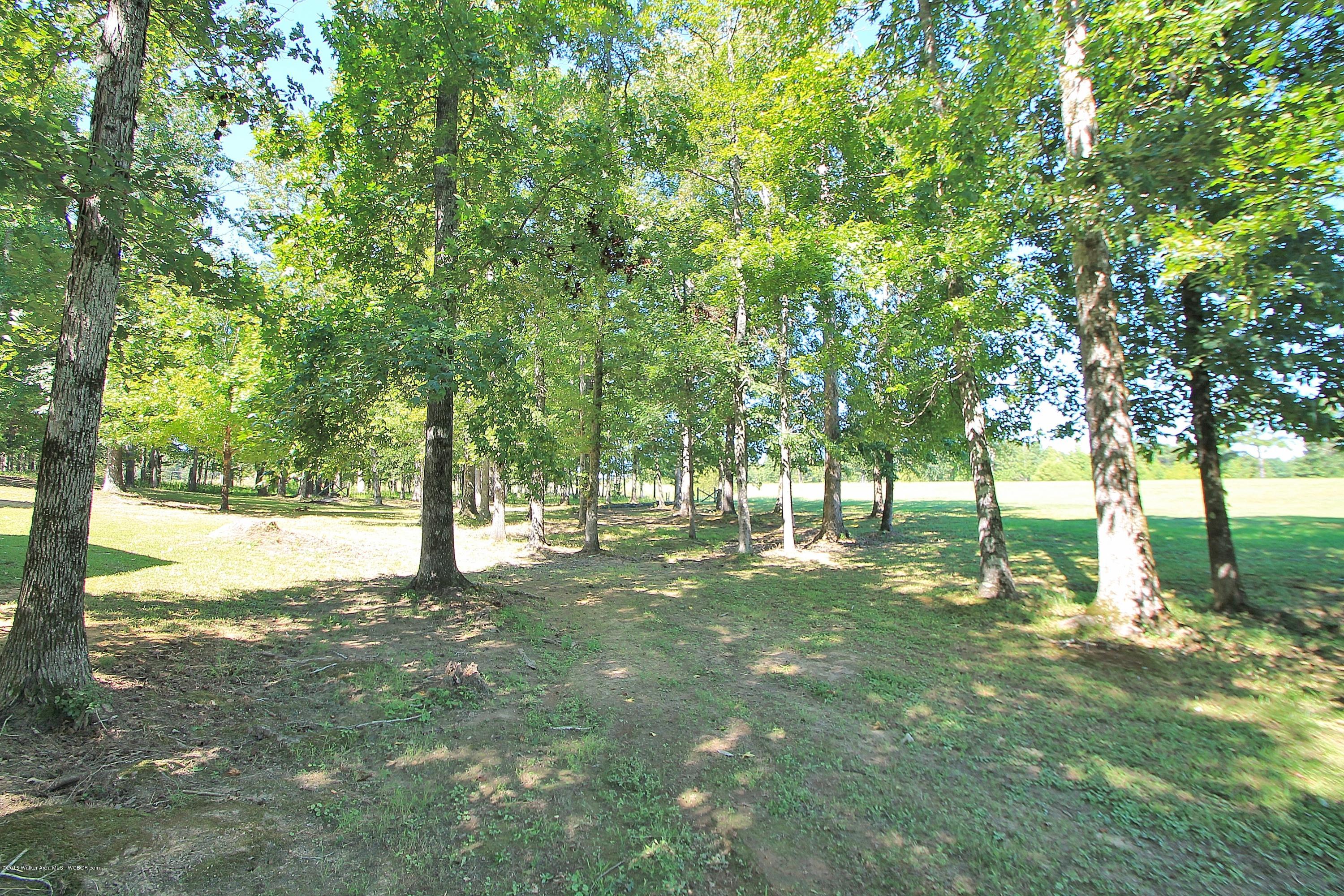 5425 New Oakman Parrish Road Oakman, AL 35579 - Photo 20 of 22 Gallery Image 20