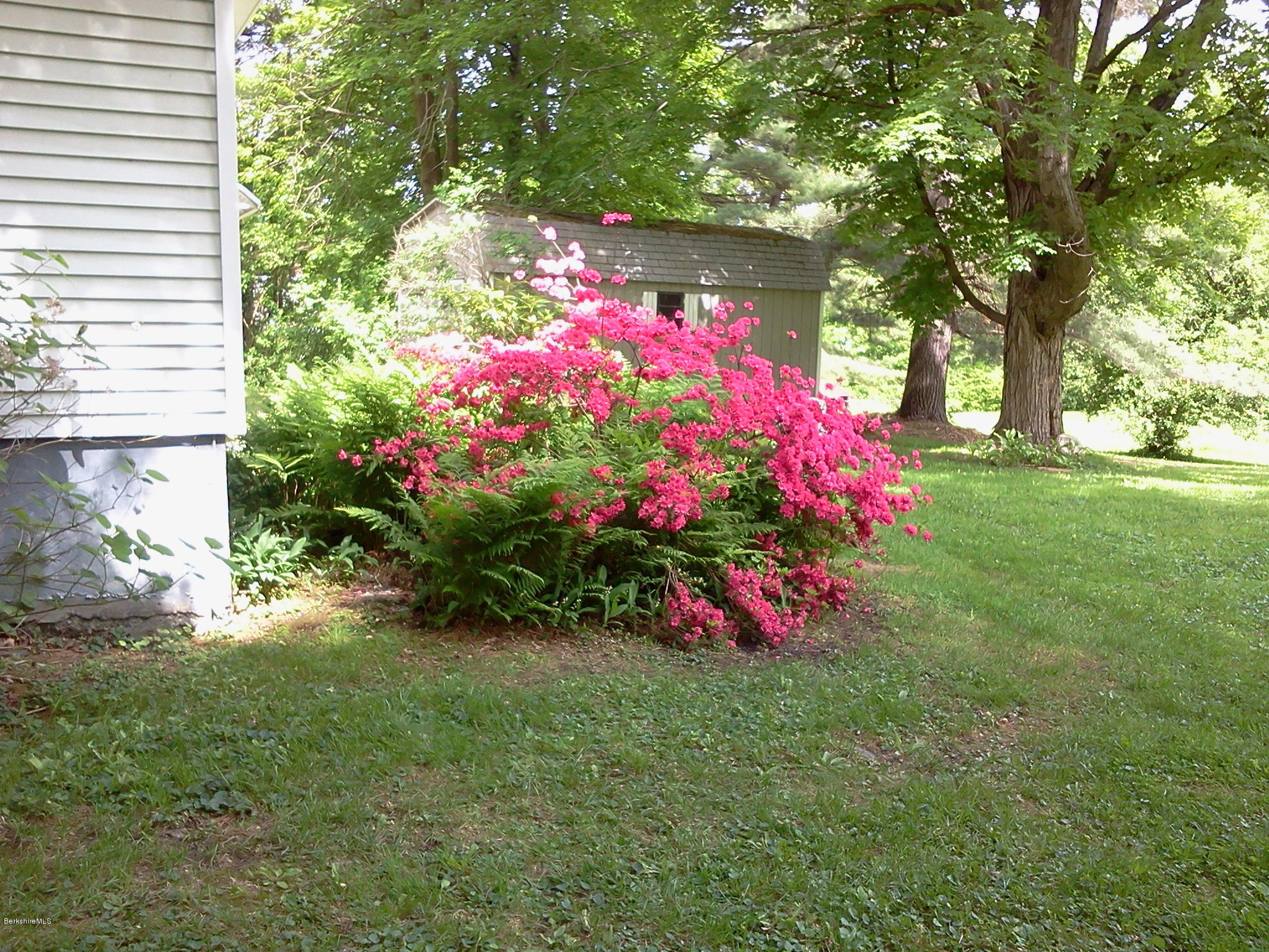 2609 State Road Richmond, MA 01254 - Photo 11 of 22 a view of a flower in a yard