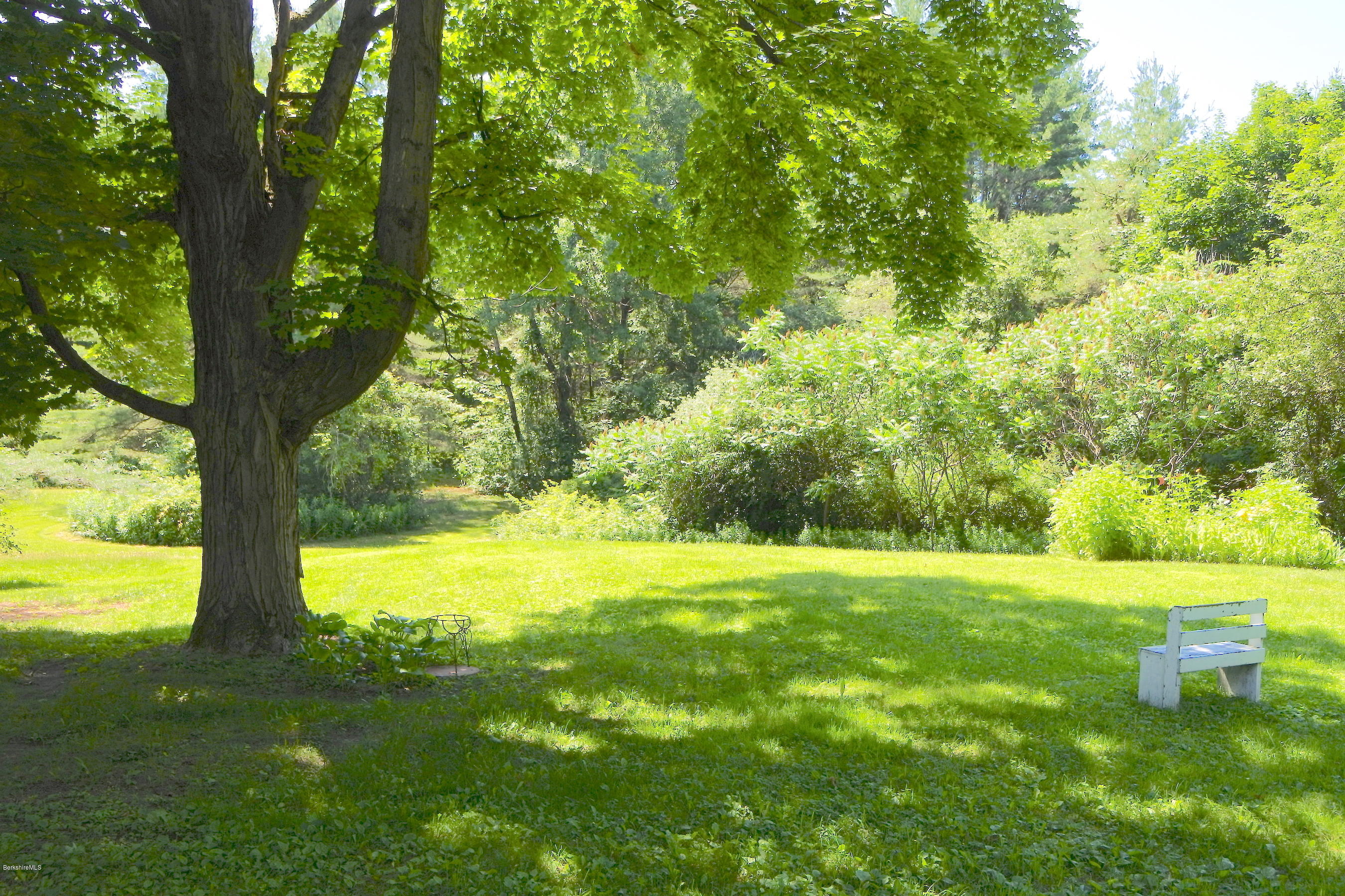 2609 State Road Richmond, MA 01254 - Photo 3 of 22 a view of an trees in the yard