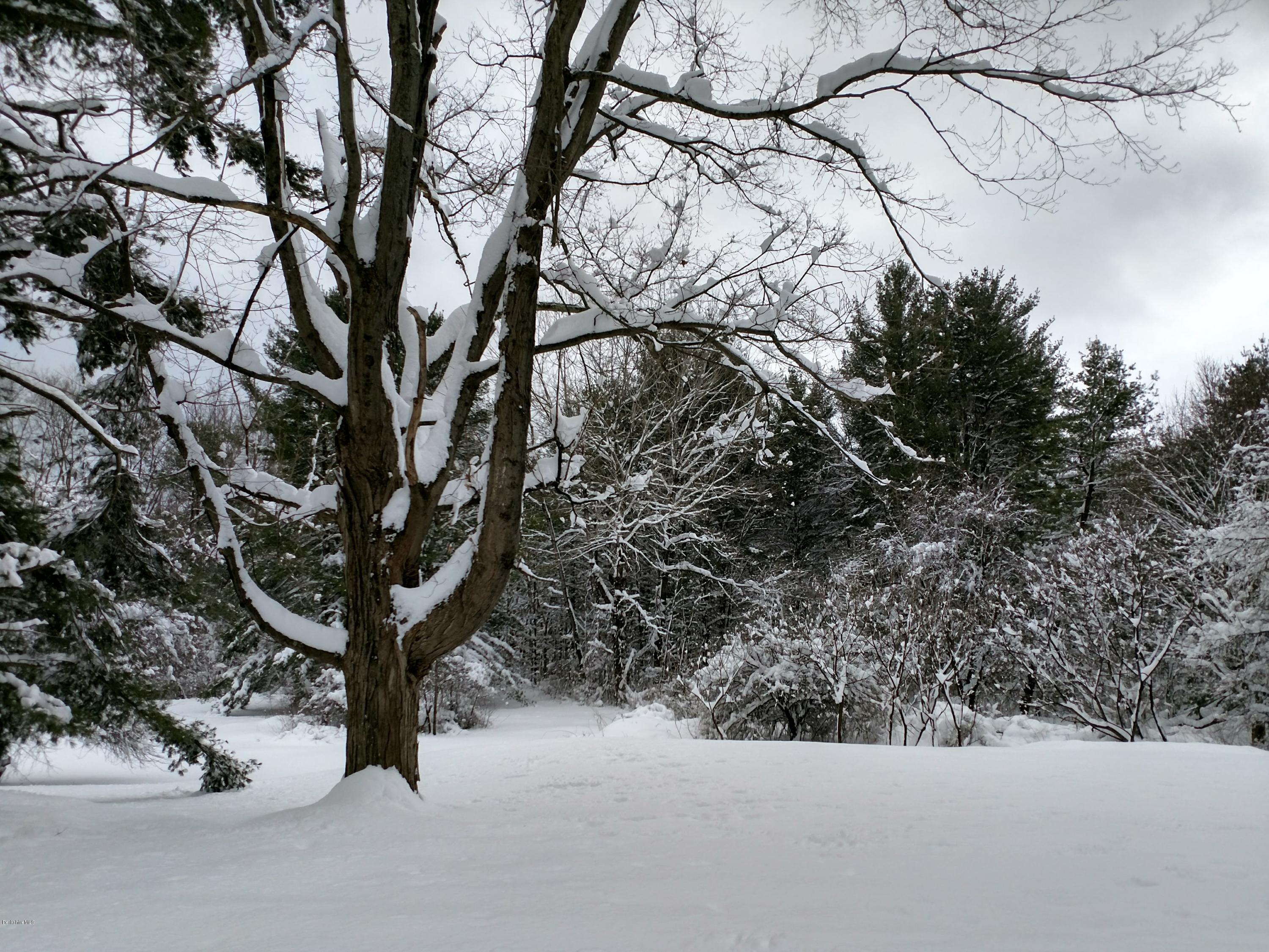 2609 State Road Richmond, MA 01254 - Photo 4 of 22 a view of a yard with a tree