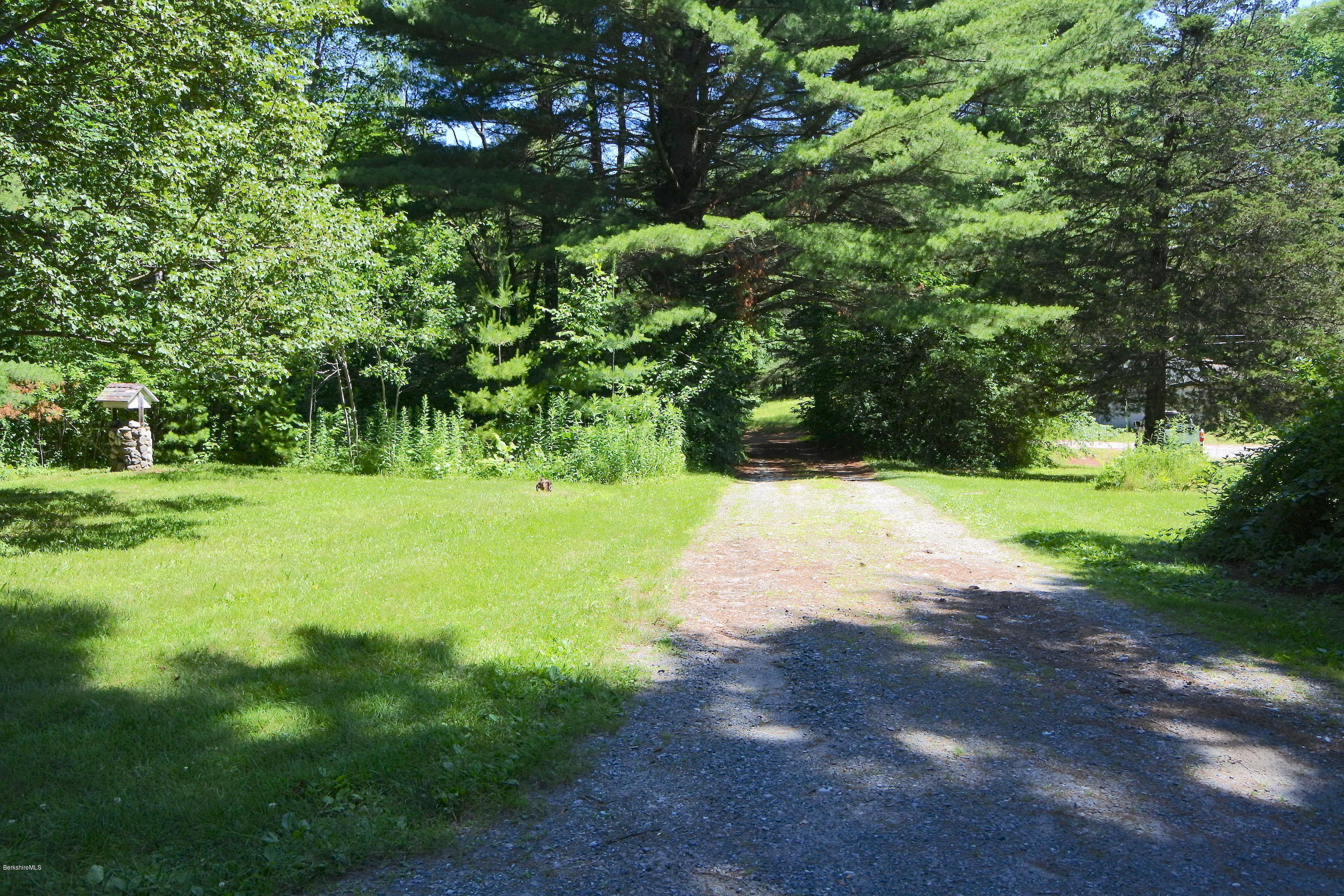 2609 State Road Richmond, MA 01254 - Photo 5 of 22 a view of a yard with a tree