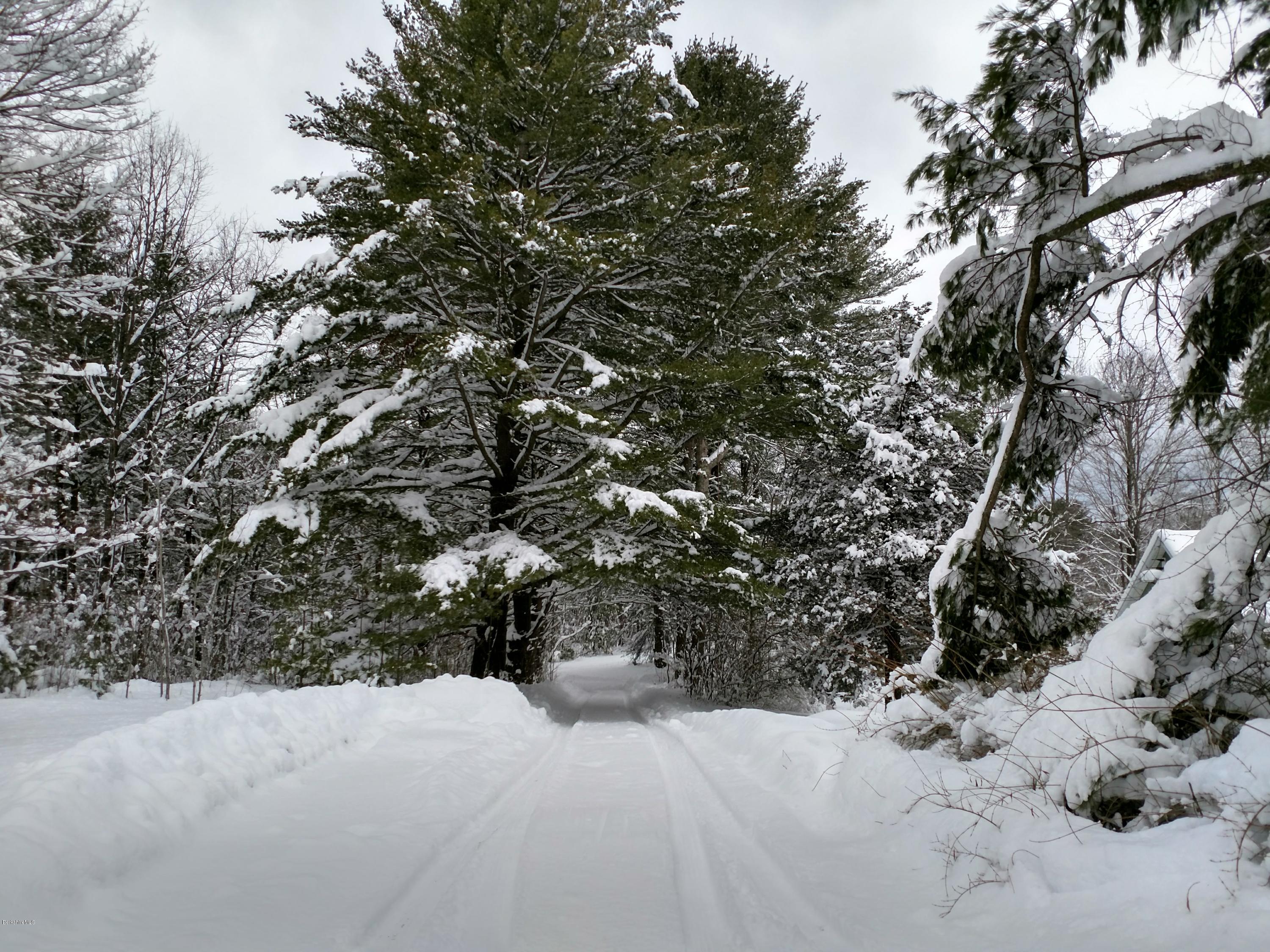 2609 State Road Richmond, MA 01254 - Photo 6 of 22 a view of a yard covered in snow