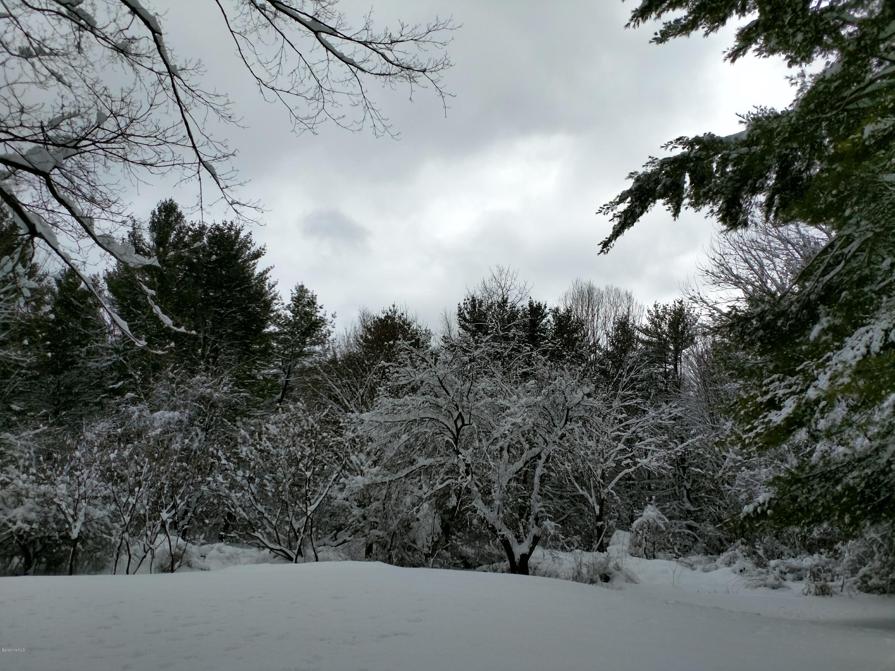 2609 State Road Richmond, MA 01254 - Photo 8 of 22