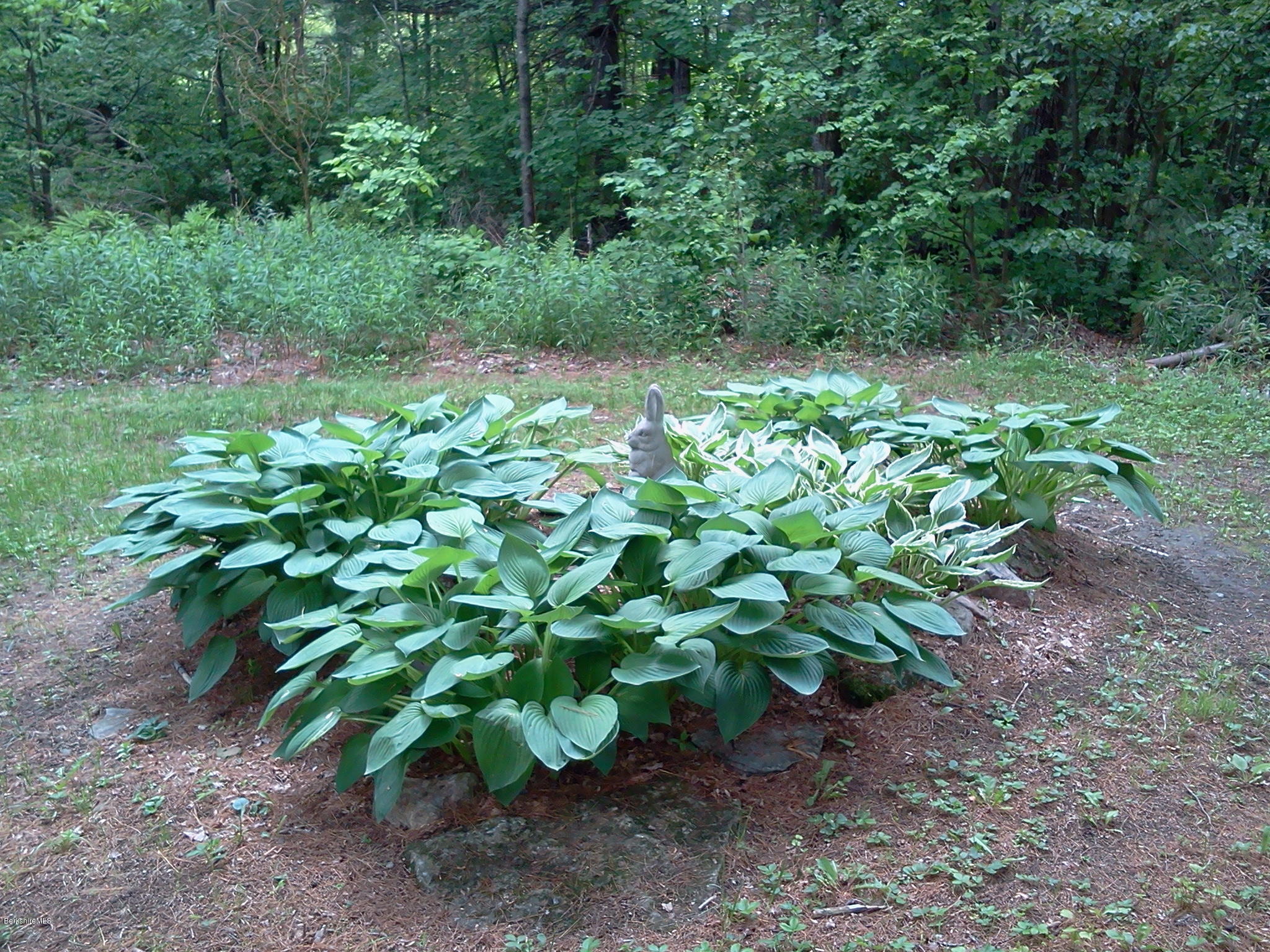 2609 State Road Richmond, MA 01254 - Photo 10 of 22 a backyard of a house with lots of green space