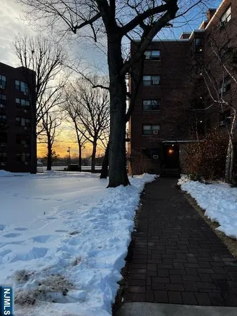 a view of backyard with green space