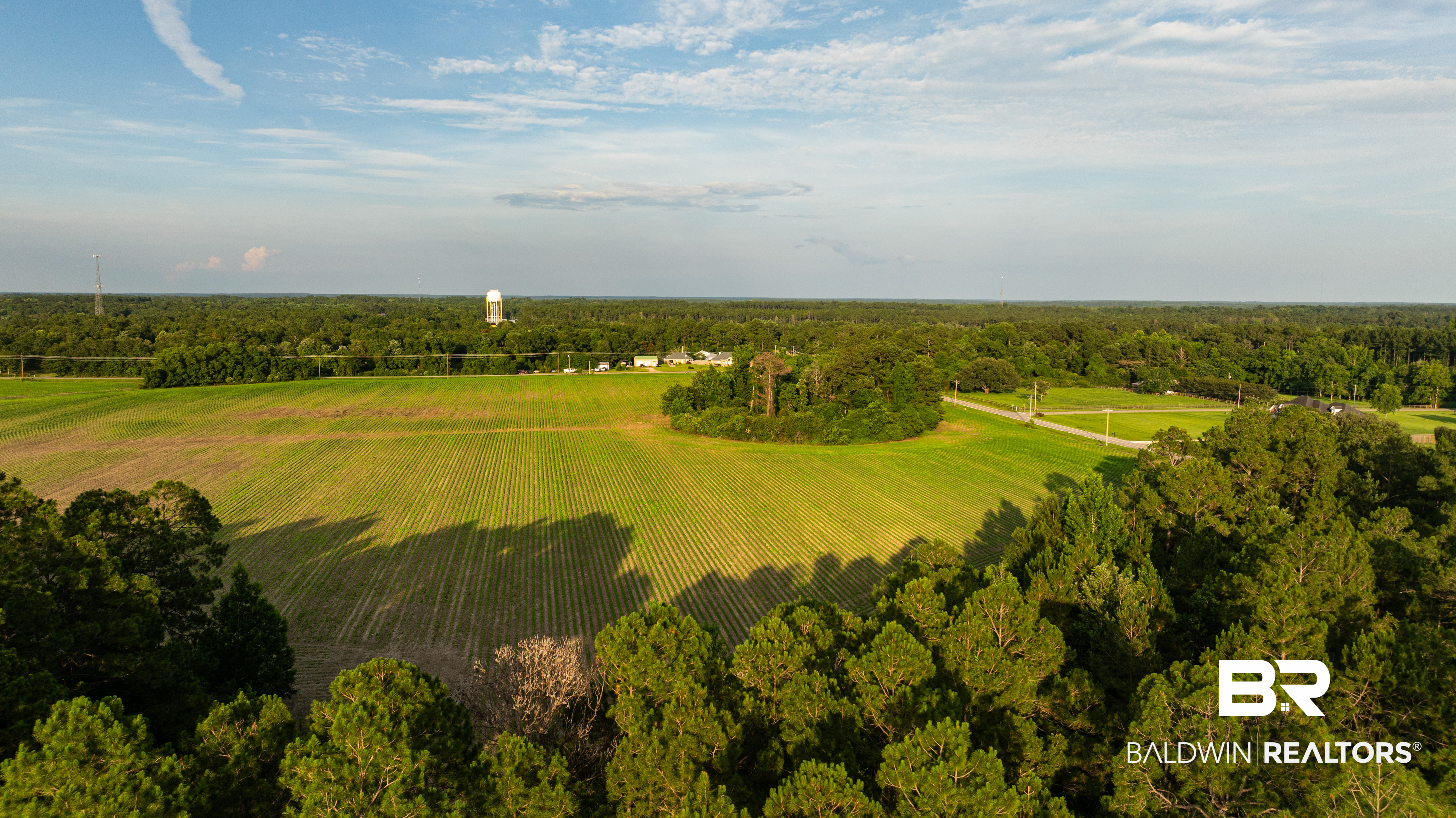 0 Bromley Road Stapleton, AL 36578 - Photo 38 of 48 Gallery Image 38