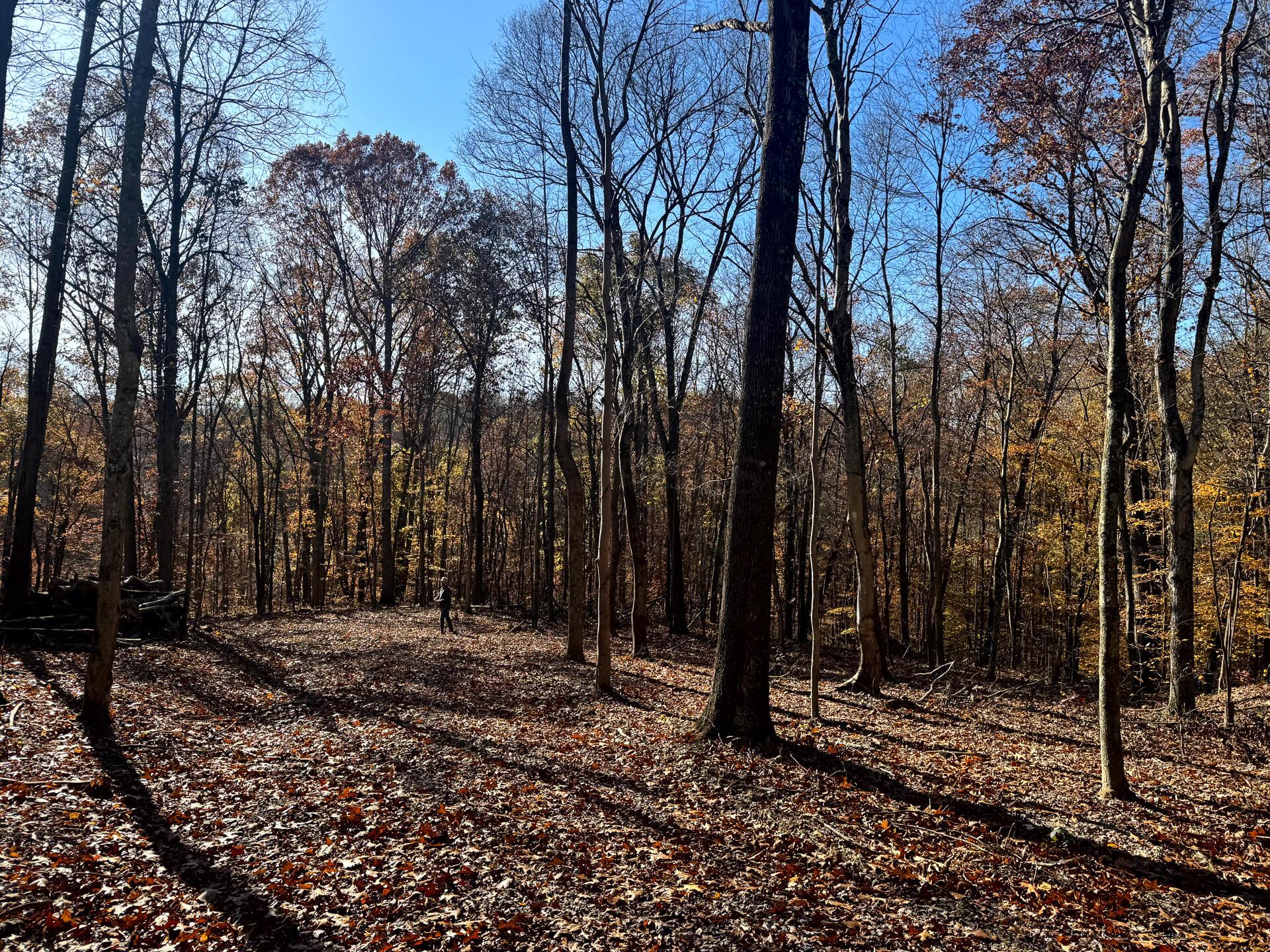 680 Nibert Road, Unit PONDS POPLAR RIDGE TRACT 10) Gallipolis, OH 45631 - Photo 26 of 46 CT-26