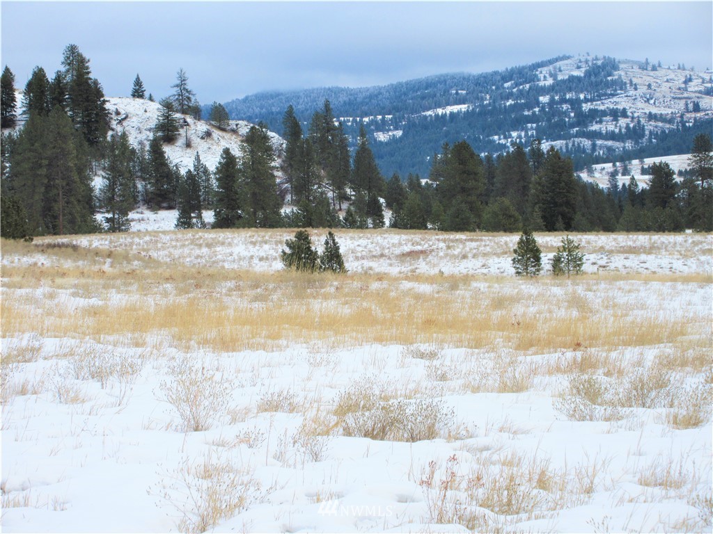 -tbd Malo Lake Road Republic, WA 99166 - Photo 1 of 9 Gallery Image 1