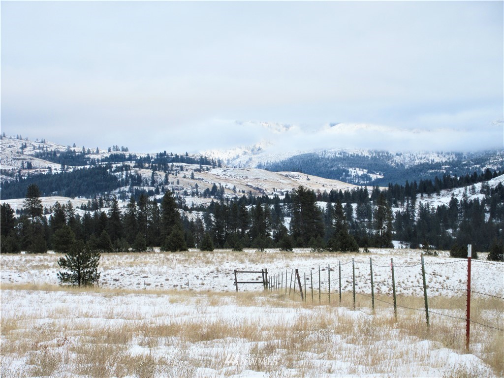 -tbd Malo Lake Road Republic, WA 99166 - Photo 2 of 9 Gallery Image 2