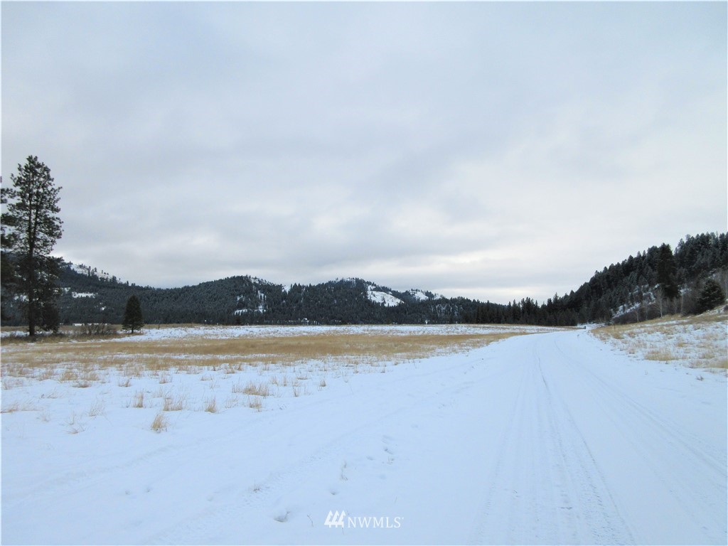 -tbd Malo Lake Road Republic, WA 99166 - Photo 3 of 9 Gallery Image 3