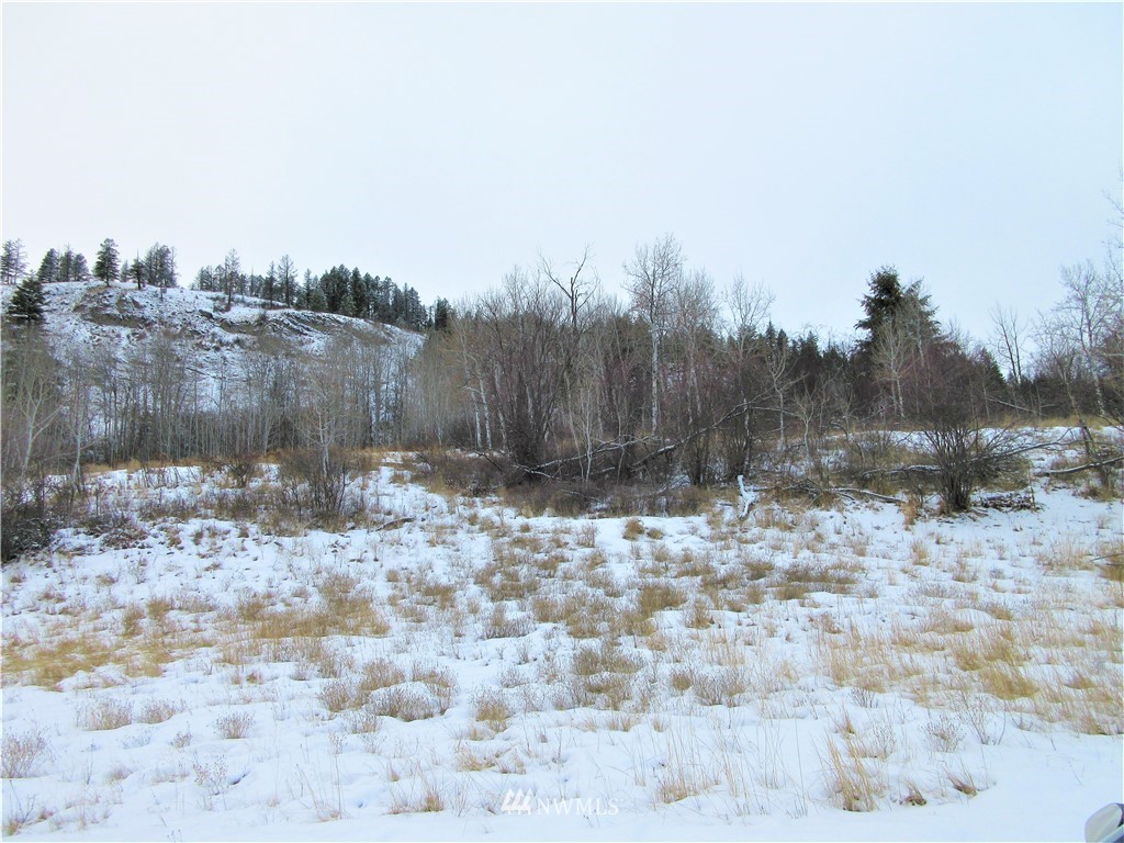 -tbd Malo Lake Road Republic, WA 99166 - Photo 5 of 9 Gallery Image 5