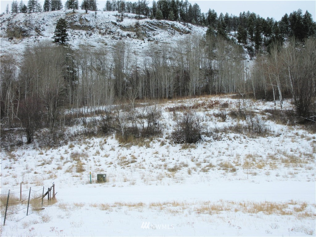 -tbd Malo Lake Road Republic, WA 99166 - Photo 6 of 9 Gallery Image 6
