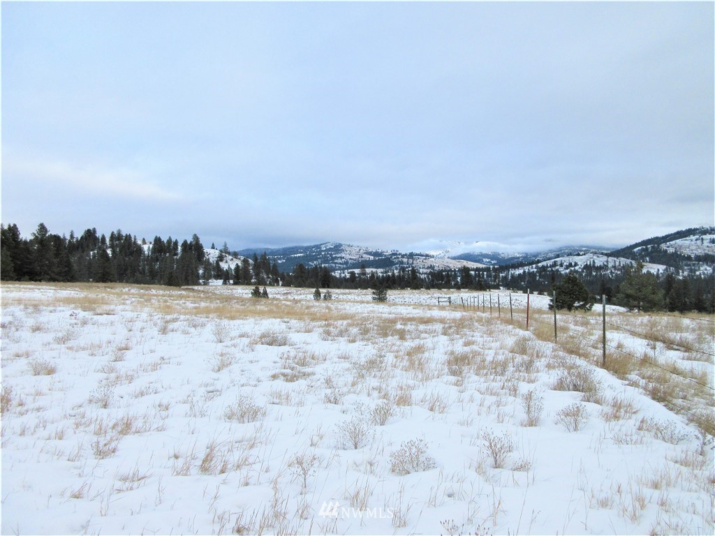 -tbd Malo Lake Road Republic, WA 99166 - Photo 7 of 9 Gallery Image 7