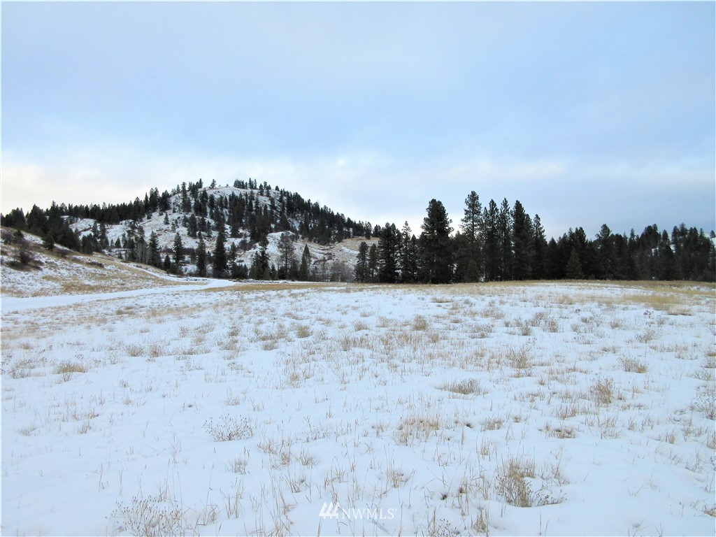 -tbd Malo Lake Road Republic, WA 99166 - Photo 8 of 9 Gallery Image 8