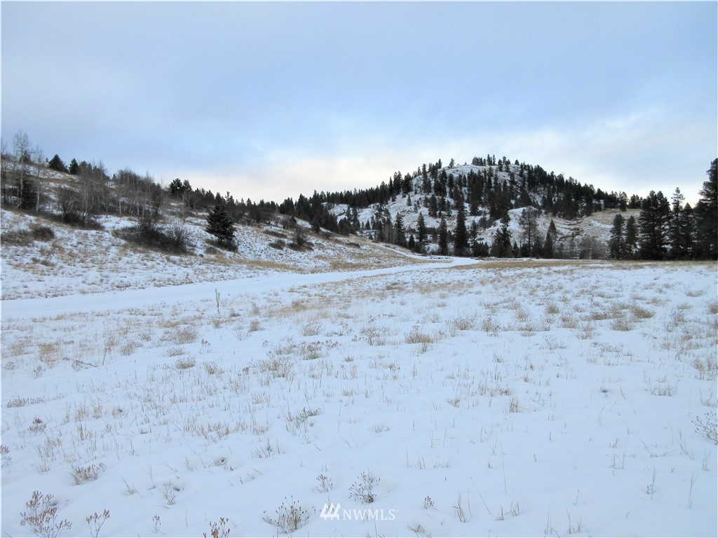 -tbd Malo Lake Road Republic, WA 99166 - Photo 9 of 9 Gallery Image 9