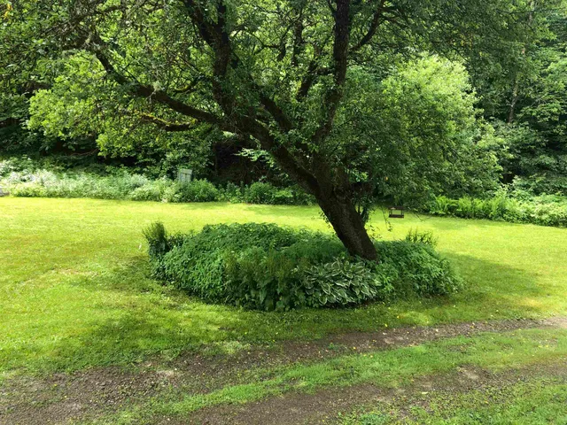 $341,000 | 600 Bog Road, Belvidere, VT 05442