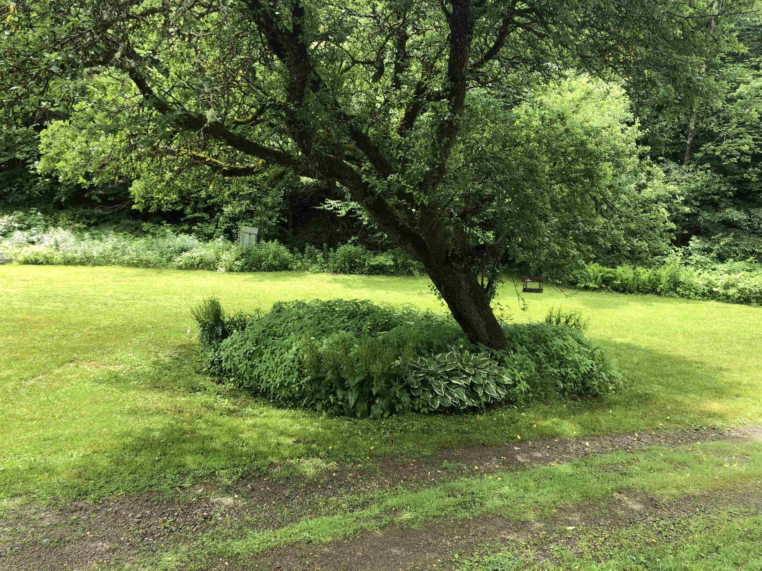 600 Bog Road Belvidere, VT 05442 - Photo 11 of 58