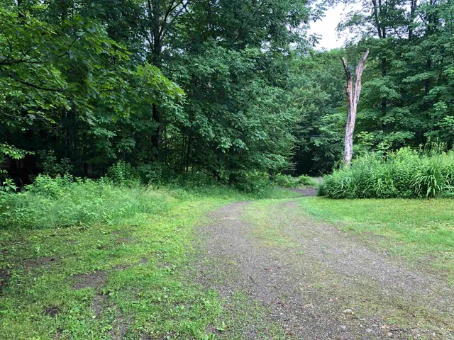 $341,000 | 600 Bog Road, Belvidere, VT 05442