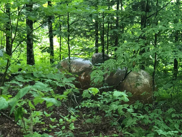 $331,000 | 600 Bog Road, Belvidere, VT 05442