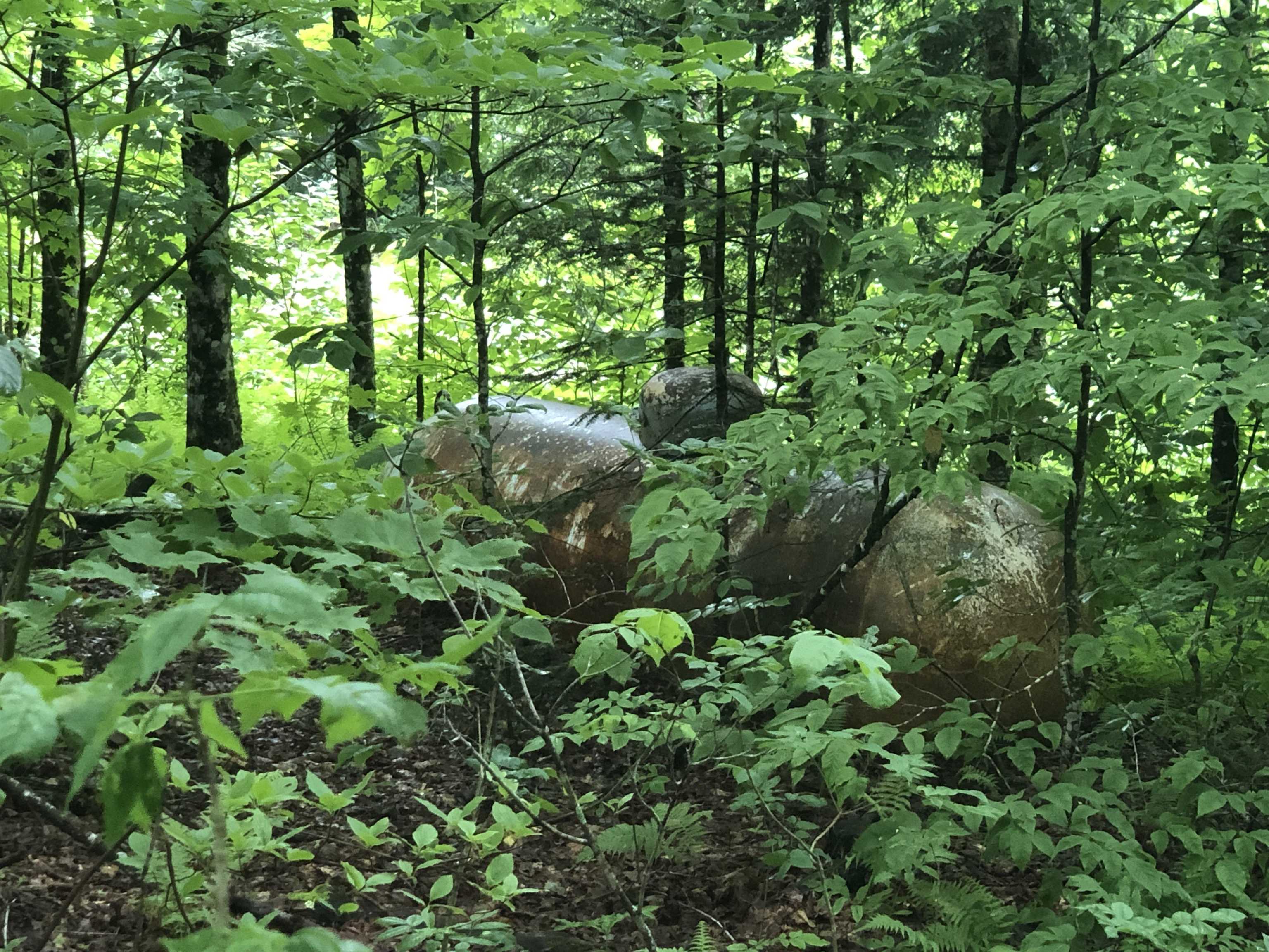 600 Bog Road Belvidere, VT 05442 - Photo 17 of 58