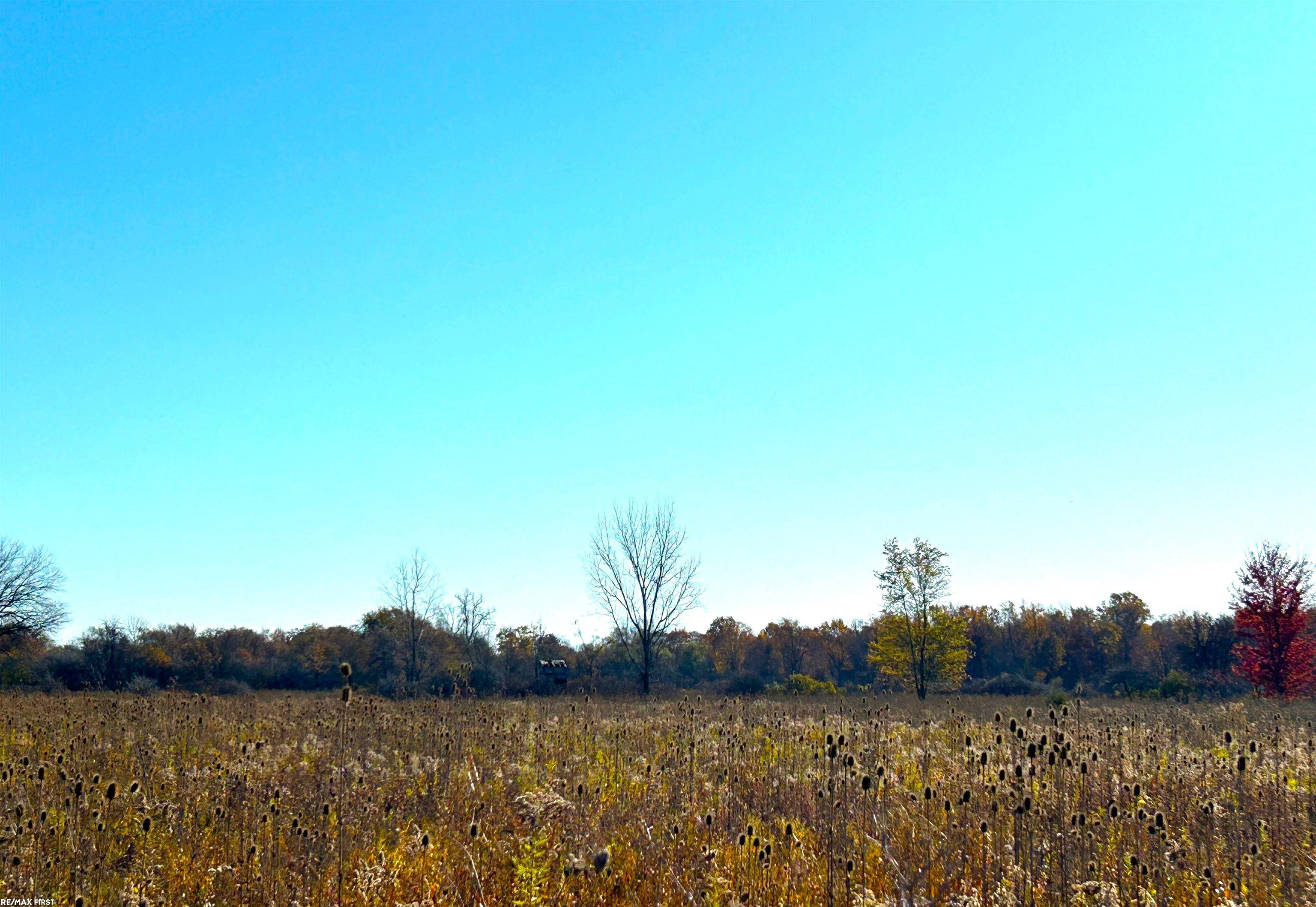 0 Omo Road New Haven, MI 48048 - Photo 3 of 6