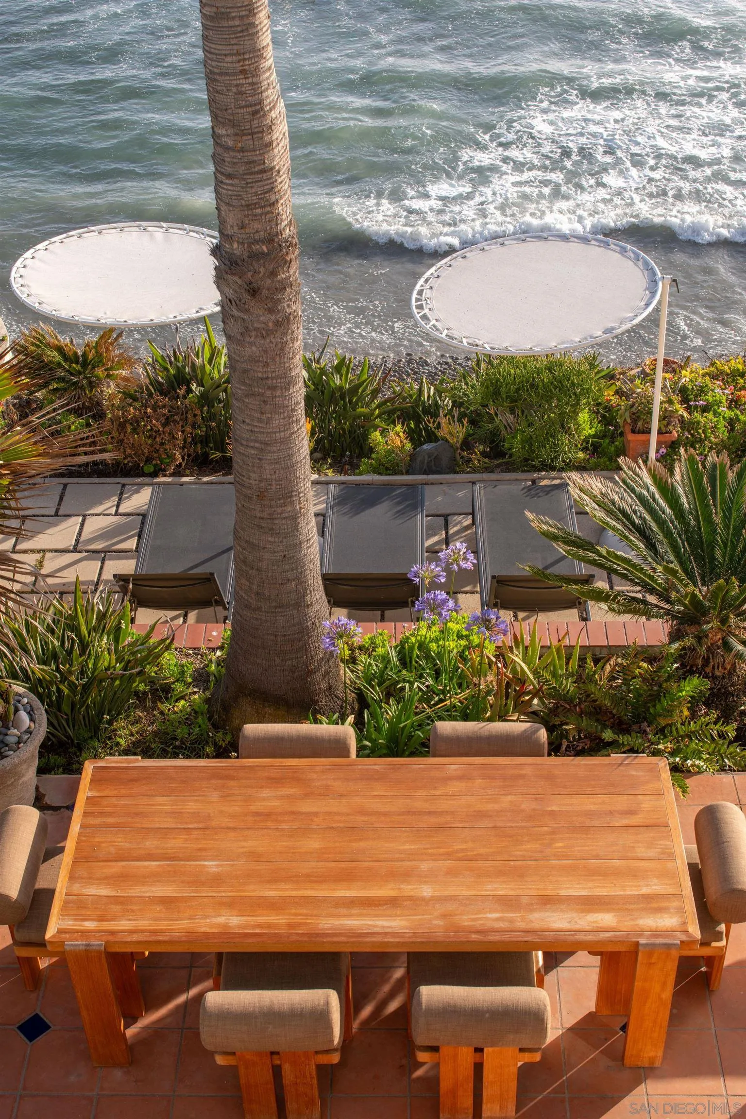 5143 Shore Drive Carlsbad, CA 92008 - Photo 13 of 66 a view of swimming pool with lawn chairs and plants