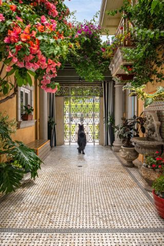 a front view of house with yard and green space