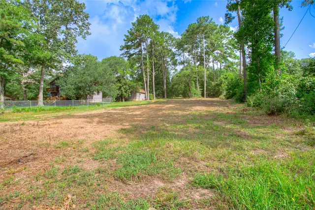 a view of a yard with trees