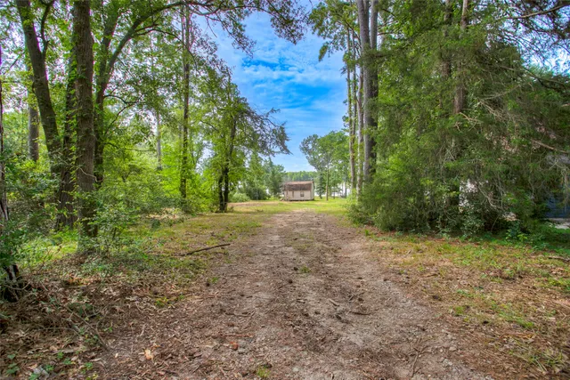 a view of a house with a yard and large trees