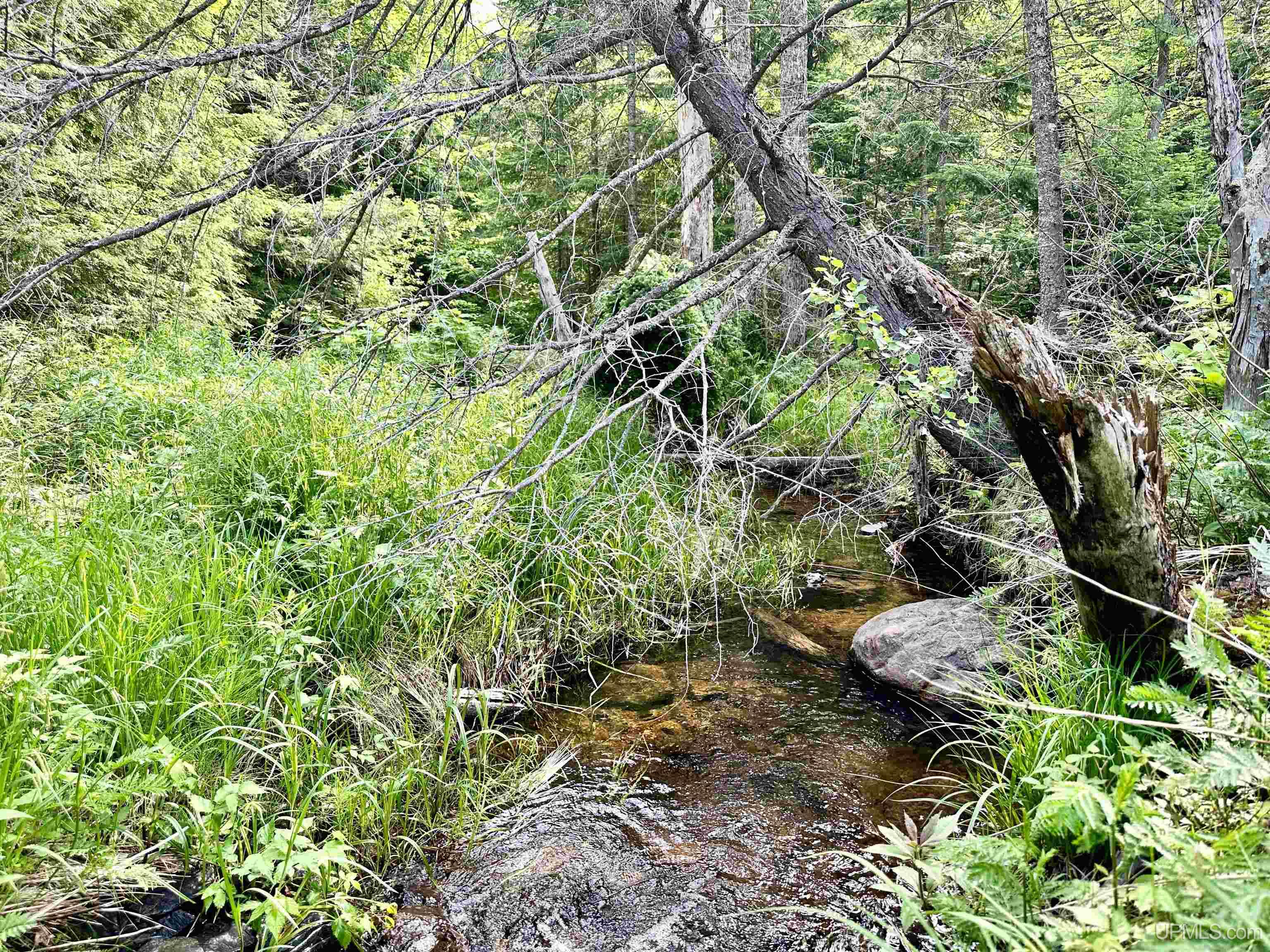 510 Rd Negaunee Mi 49866 Road Negaunee, MI 49866 - Photo 4 of 71