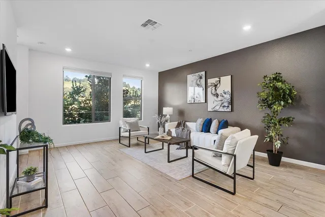 a living room with furniture and a potted plant