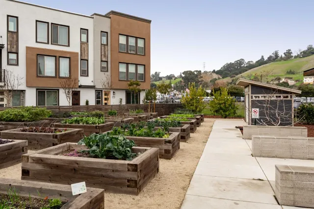 a view of a house with a garden