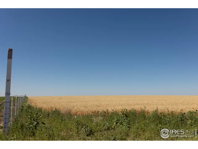 a view of a field with an ocean