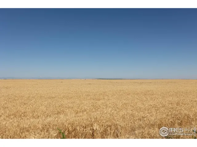a view of an ocean beach