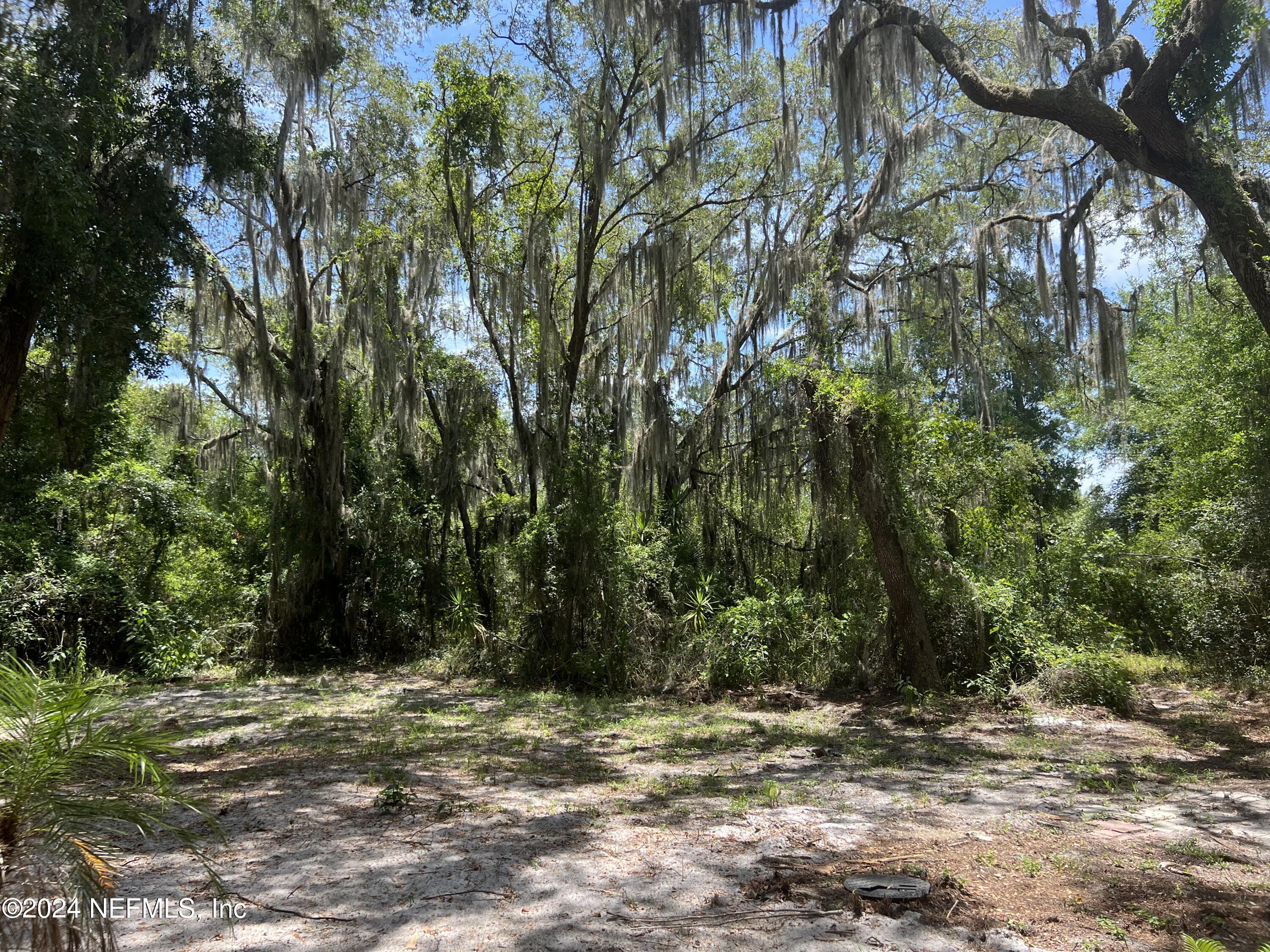 231 Union Camp Road Crescent City, FL 32112 - Photo 3 of 12 IMG_9597