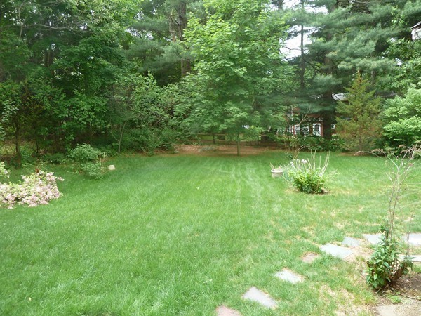 6 Ruping Drive Burlington, MA 01803 - Photo 22 of 22 Gallery Image 22