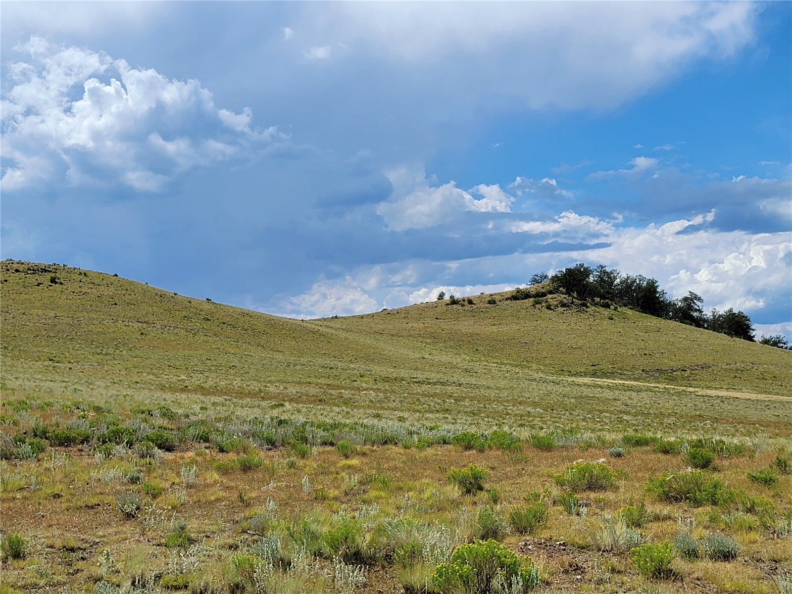3999 Delaware Road Hartsel, CO 80449 - Photo 22 of 23 View of mountain backdrop with rural landscape