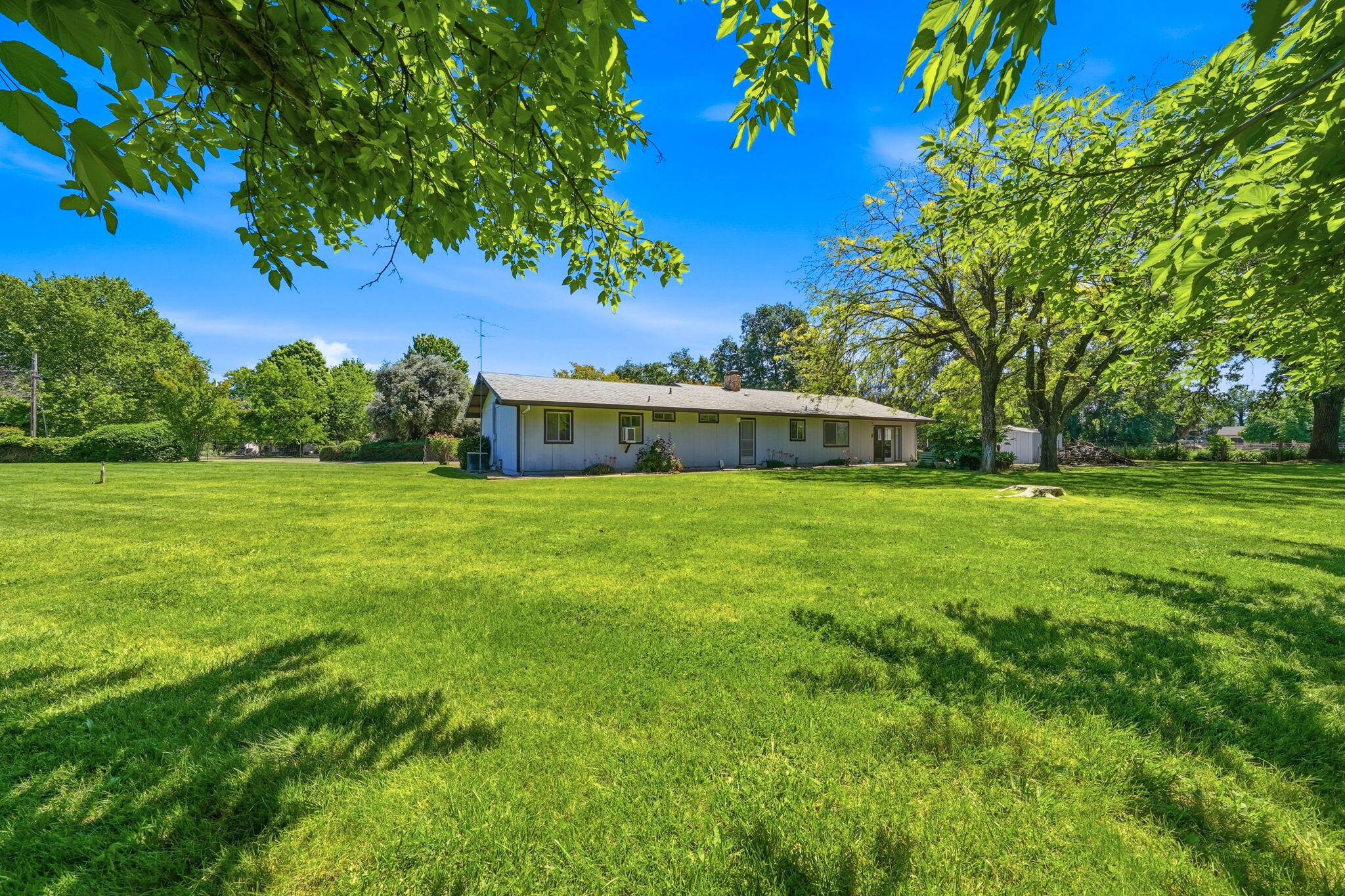 15695 Johnson Road Red Bluff, CA 96080 - Photo 39 of 53 39-web-or-mls-IMG-39