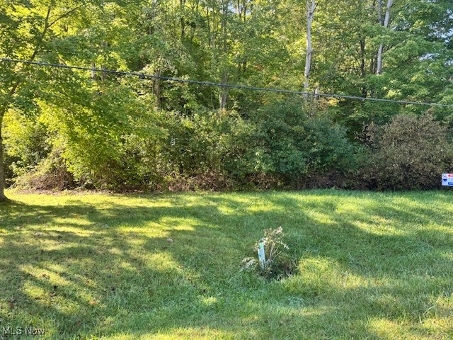 955 Lunar Lane Rome, OH 44085 - Photo 1 of 6 View of yard
