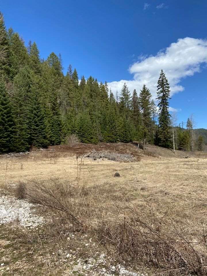 1107 Aladdin Road Colville, WA 99114 - Photo 3 of 20 Gallery Image 3