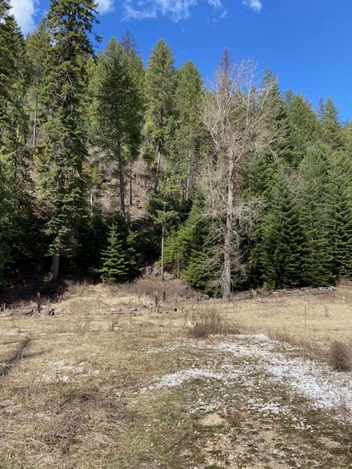 1107 Aladdin Road Colville, WA 99114 - Photo 4 of 20 Gallery Image 4
