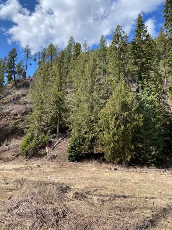 1107 Aladdin Road Colville, WA 99114 - Photo 5 of 20 Gallery Image 5
