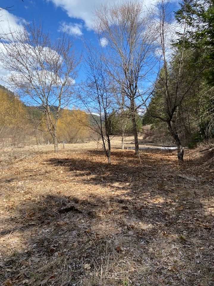 1107 Aladdin Road Colville, WA 99114 - Photo 9 of 20 Gallery Image 9